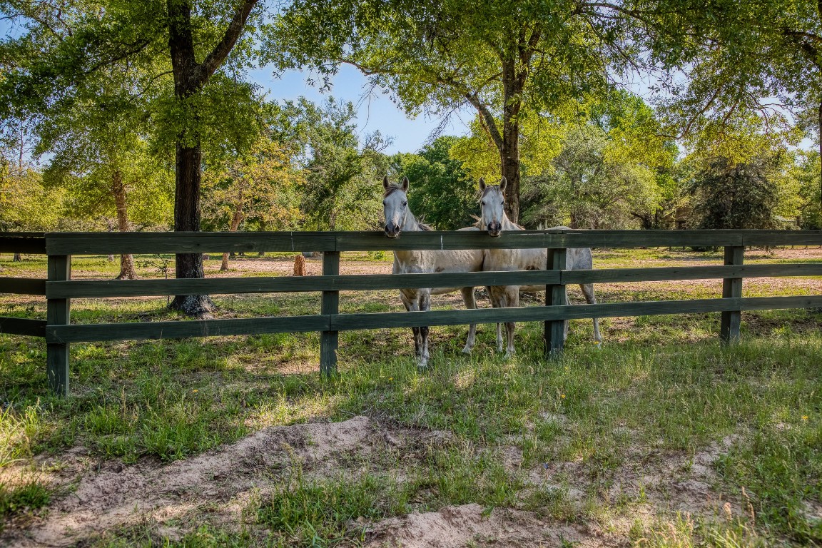 6925 South Sycamore Crossing Road Bellville, TX 77418 - Photo 35 of 40 a view of backyard with green space