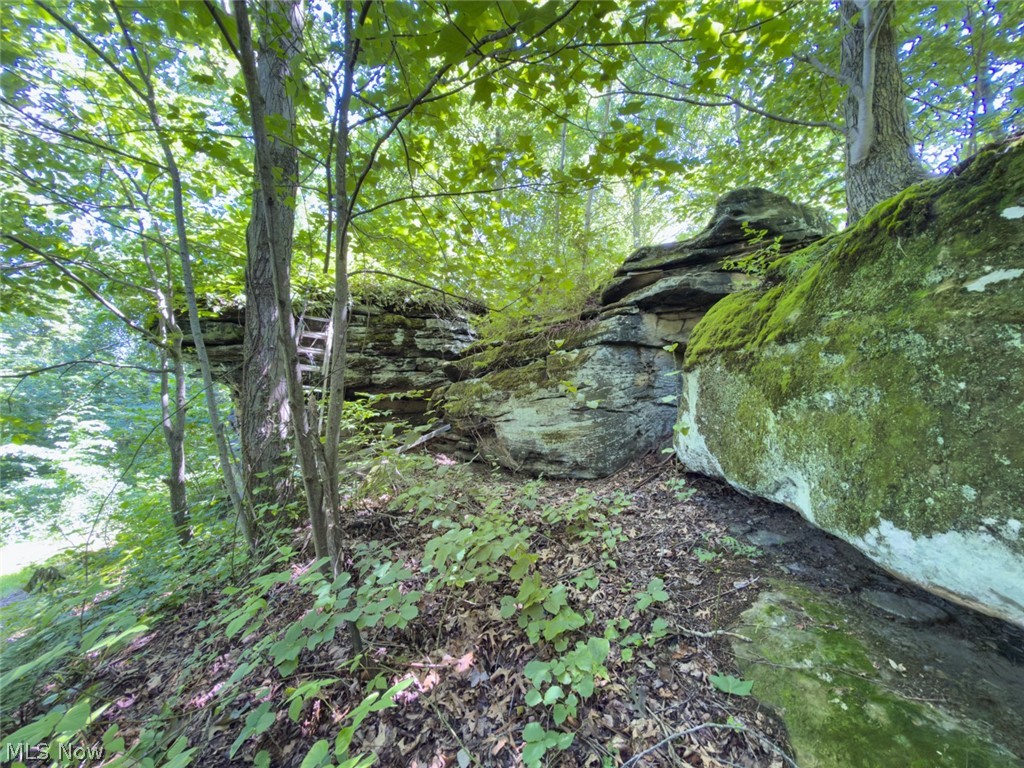 6985 Brush Run Road Cambridge, OH 43725 - Photo 38 of 50