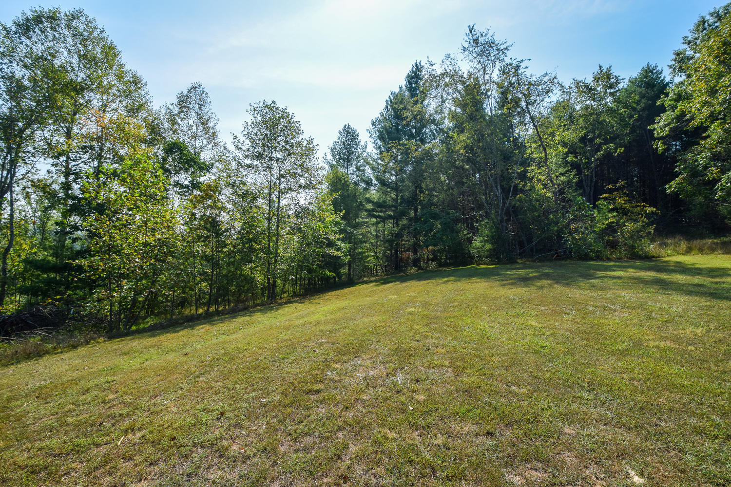 211 Rhododendron Road Callaway, VA 24067 - Photo 41 of 48 a view of a yard with a house