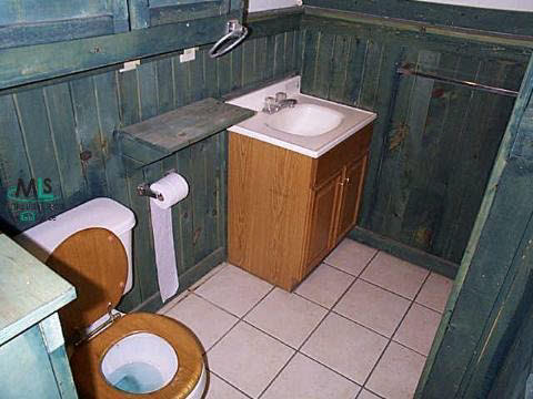 3860 South Lake George Road Dryden, MI 48428 - Photo 6 of 12 469440-5.JPG