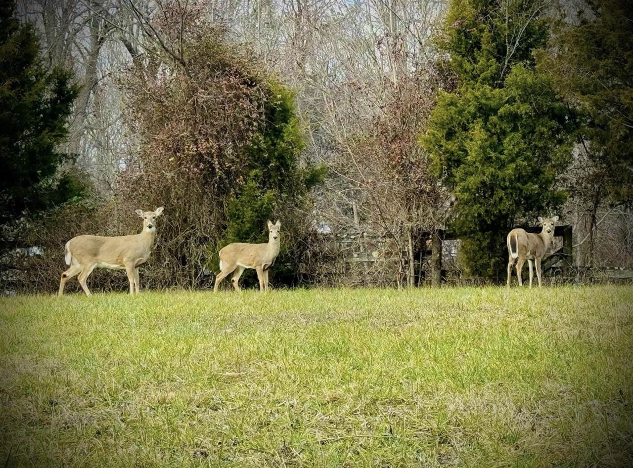 3295 Dye Ford Road Alvaton, KY 42122 - Photo 60 of 60 Gallery Image 60