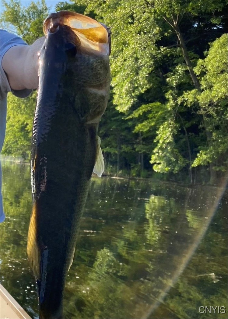 7557 Old Woods Road Tully, NY 13159 - Photo 11 of 12