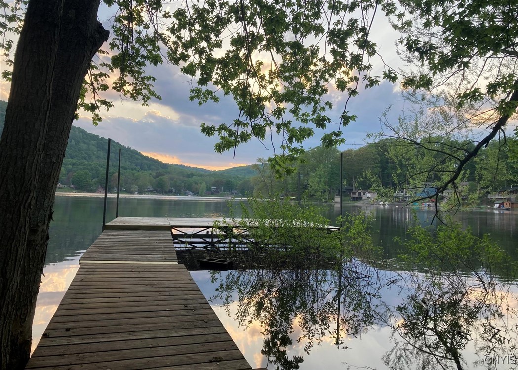 7557 Old Woods Road Tully, NY 13159 - Photo 3 of 12