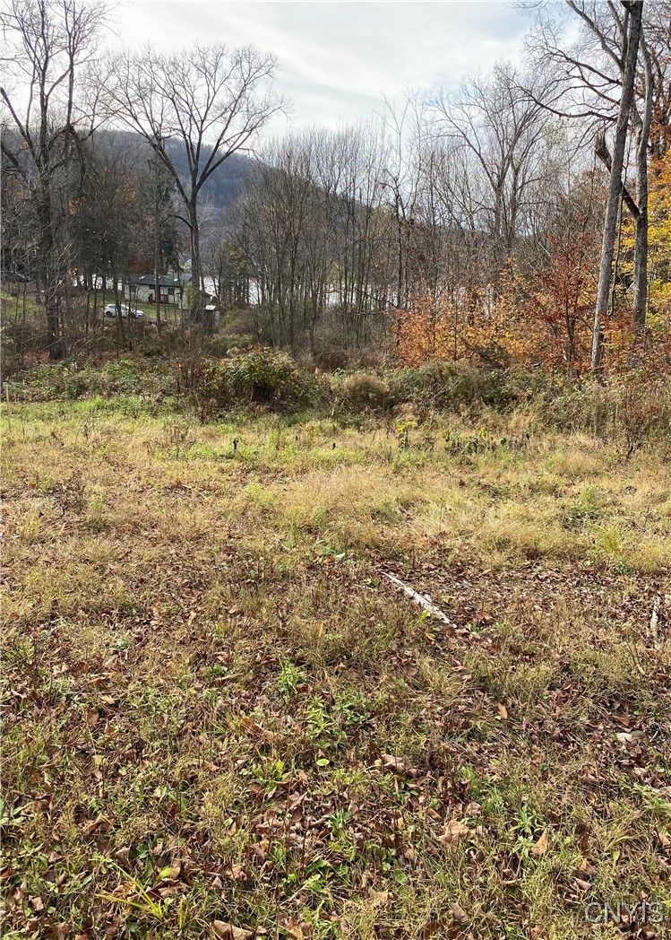 7557 Old Woods Road Tully, NY 13159 - Photo 6 of 12