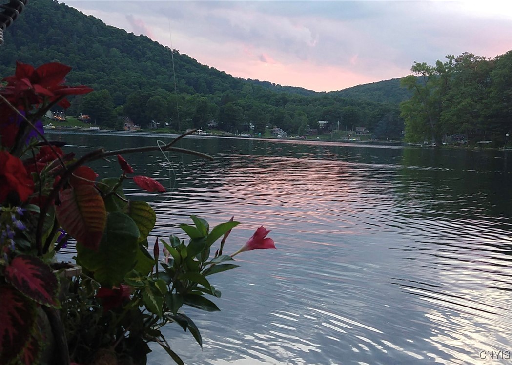 7557 Old Woods Road Tully, NY 13159 - Photo 8 of 12