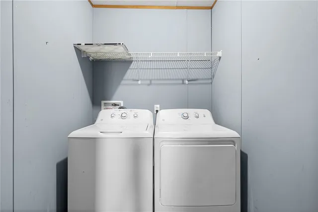 a backyard of a house with plants and large tree