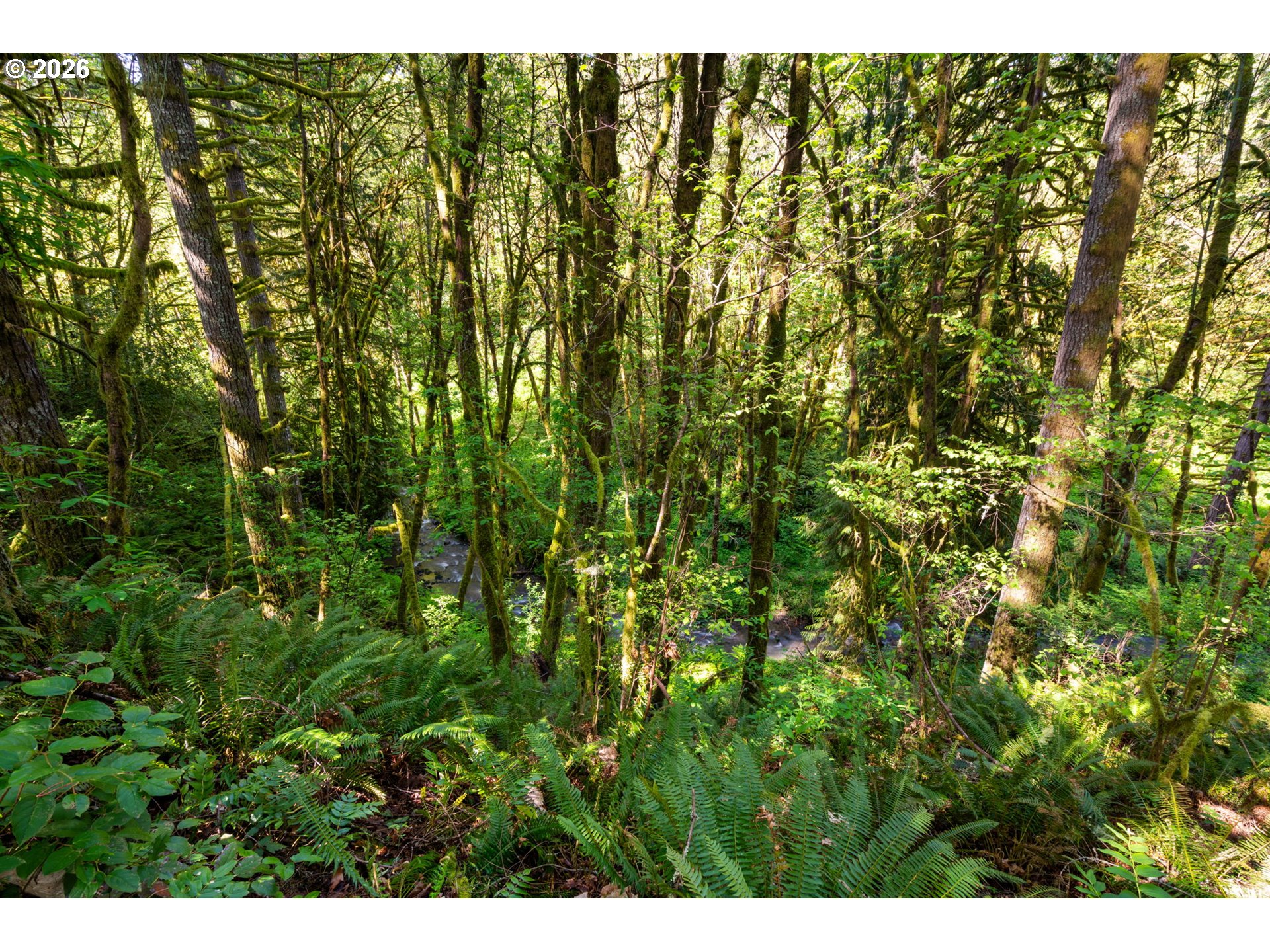 2836 Lewis River Road Woodland, WA 98674 - Photo 33 of 44