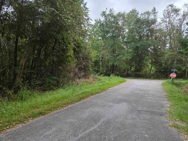 $6,900 | 62 Bethany Drive, Kingstree, SC 29556