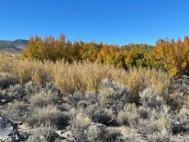 700 Davis Mdw Trail Dyer, NV 89010 - Photo 4 of 7