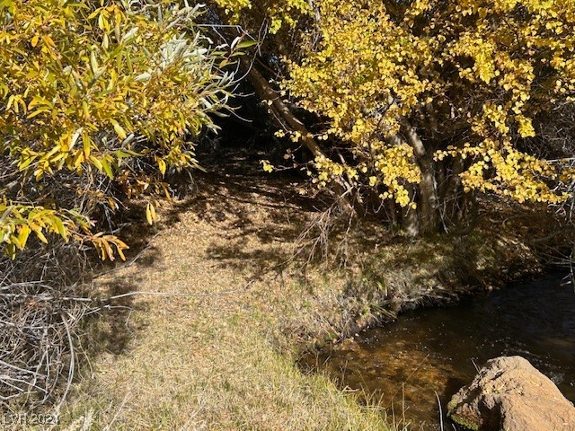 700 Davis Mdw Trail Dyer, NV 89010 - Photo 6 of 7