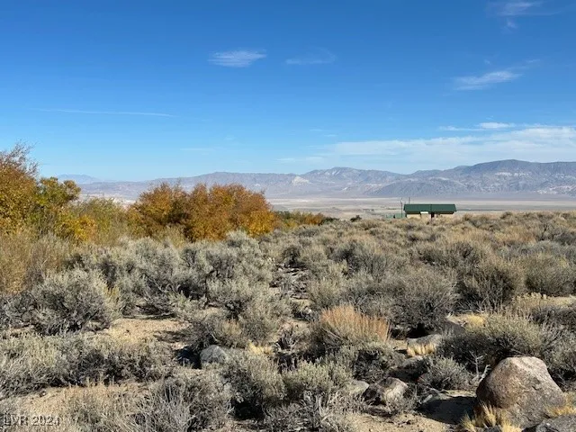 $69,900 | 700 Davis Mdw Trail, Dyer, NV 89010