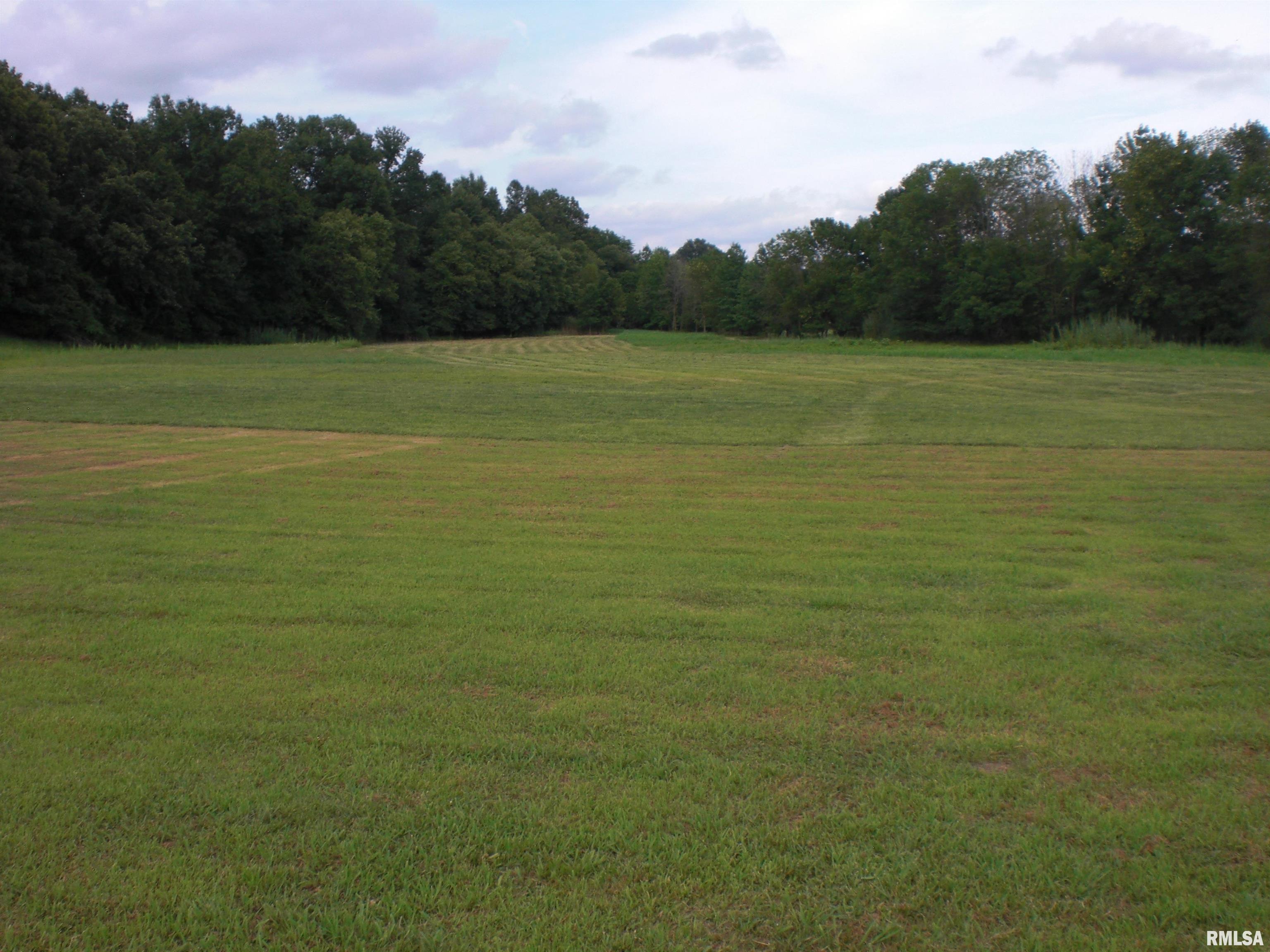 0 Sycamore Road Carterville, IL 62918 - Photo 5 of 16 Gallery Image 5