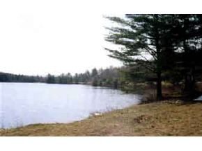 6 Stone Pond Road Marlow, NH 03456 - Photo 4 of 4 Gallery Image 4