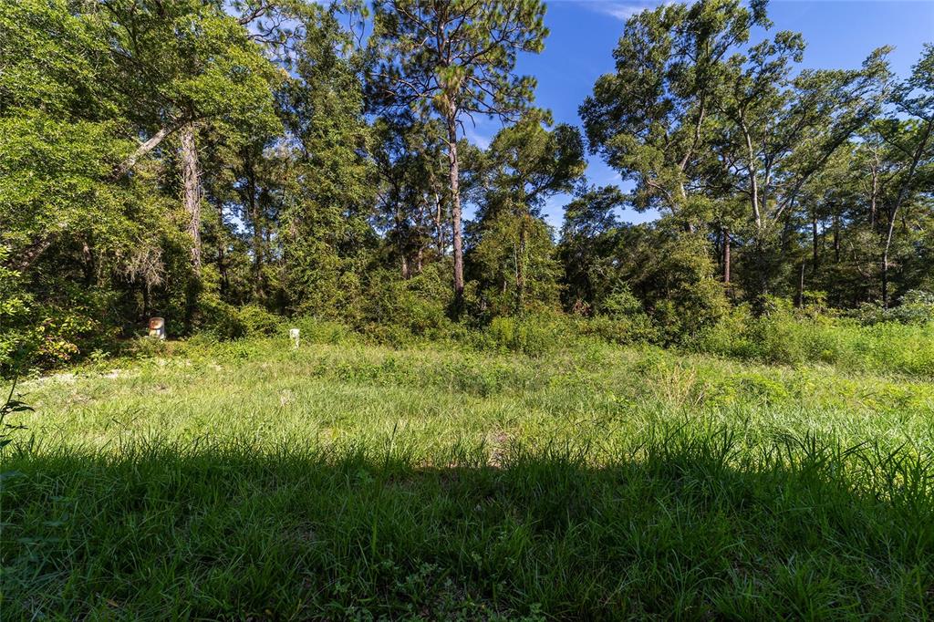 15431 Southwest 41st Street Road Ocala, FL 34481 - Photo 42 of 44