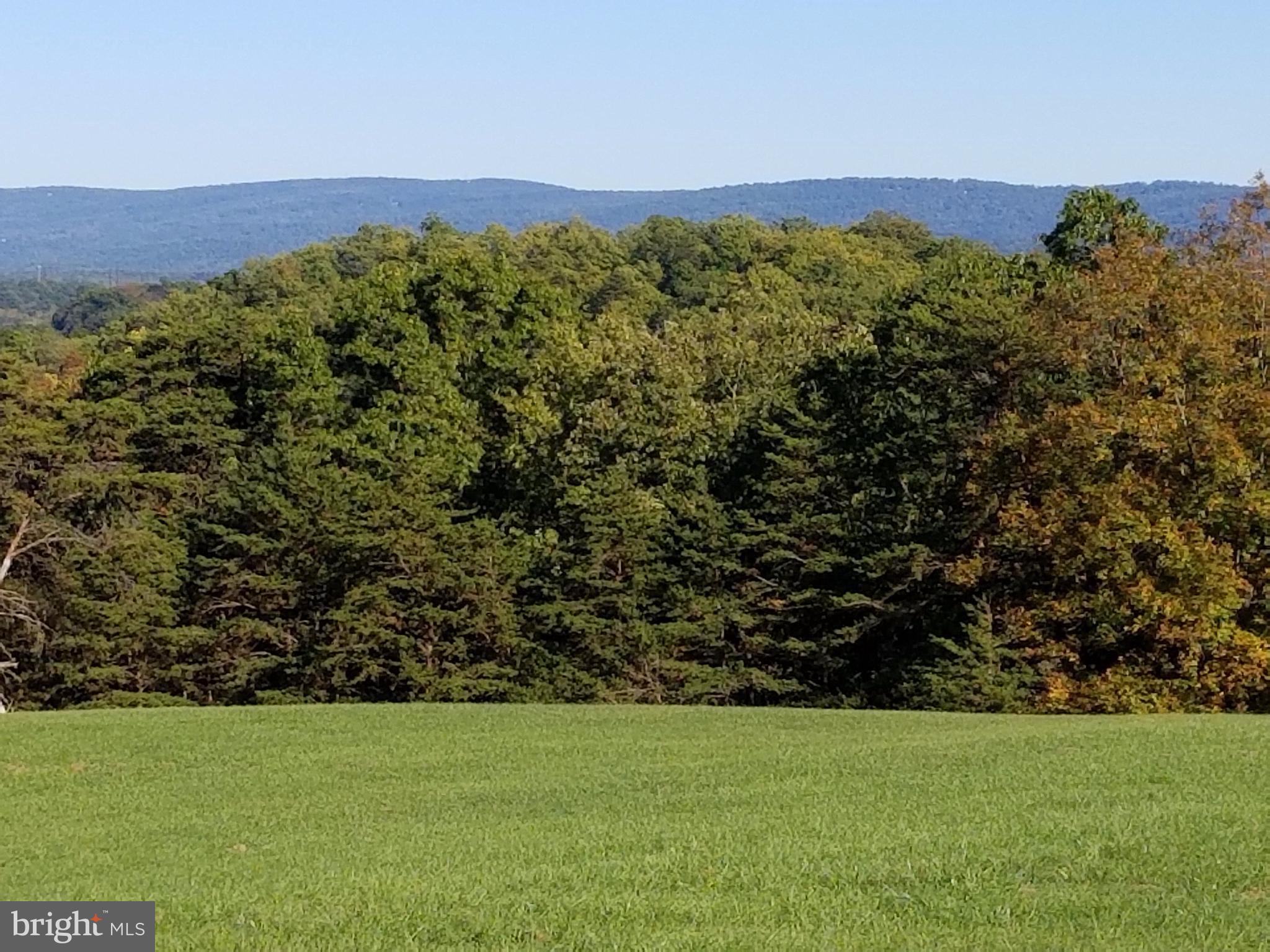 773 Esteppe Road Front Royal, VA 22630 - Photo 26 of 29 View