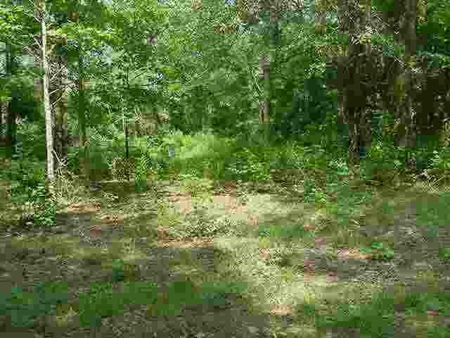 1121 West Kitty Hawk Road Kitty Hawk, NC 27949 - Photo 1 of 1 Gallery Image 1