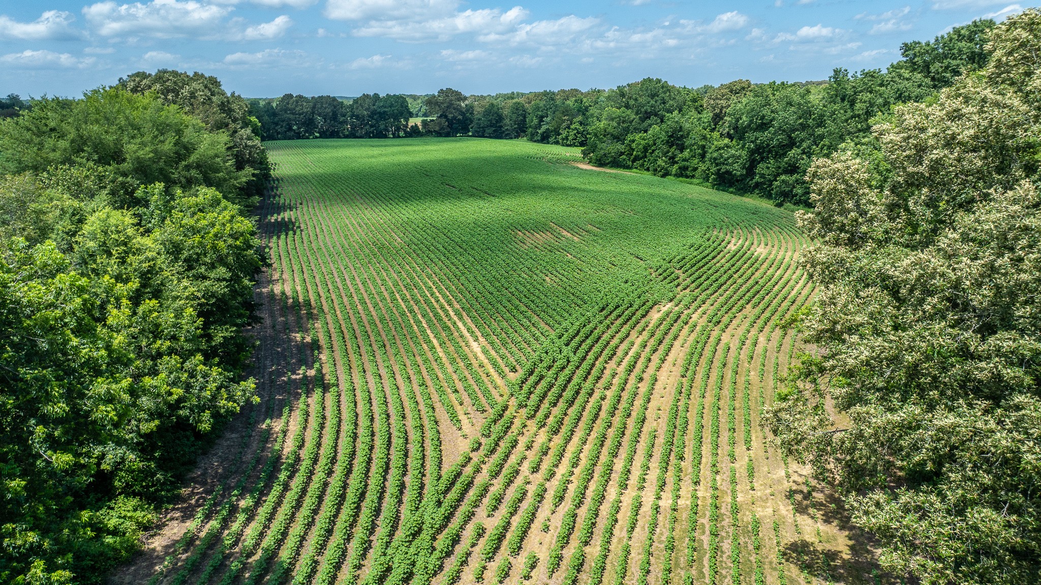 325 Harts Mill Road Atwood, TN 38220 - Photo 38 of 44