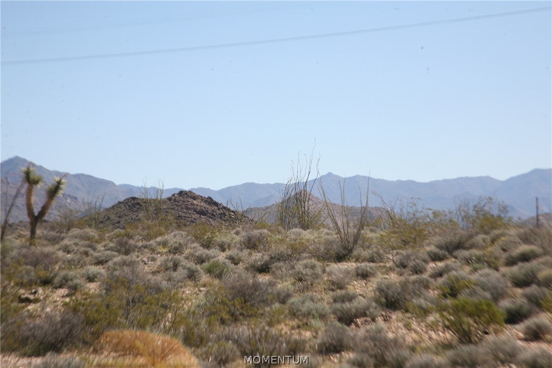 208-24-134 South Cameron Road Yucca, AZ 86438 - Photo 59 of 86 Gallery Image 59