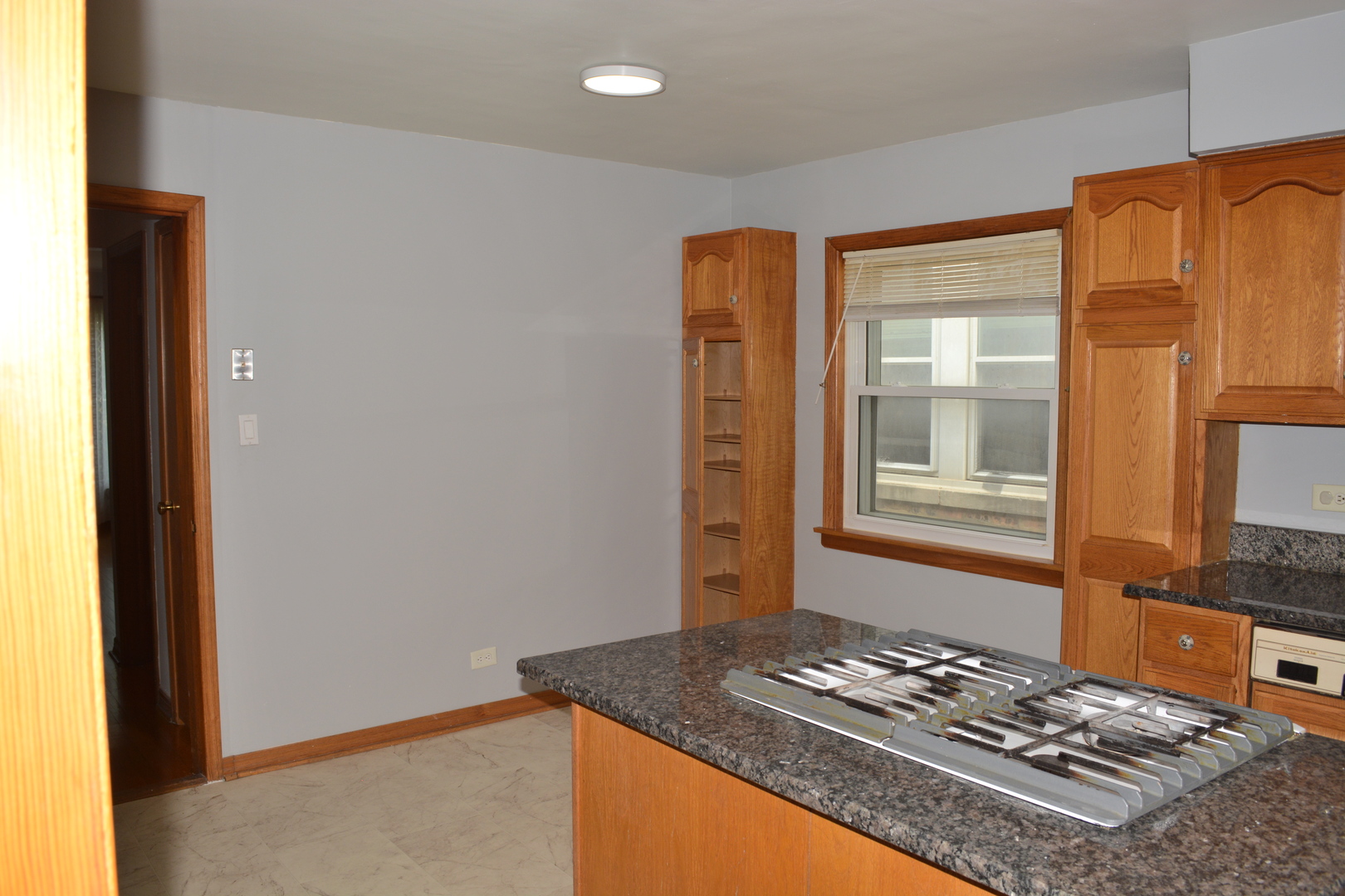 5929 West 64th Street Chicago, IL 60638 - Photo 7 of 18