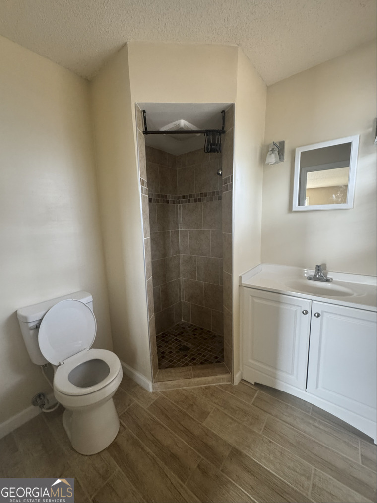 301 Church Street Vienna, GA 31092 - Photo 7 of 12 a bathroom with a granite countertop toilet a sink and a mirror