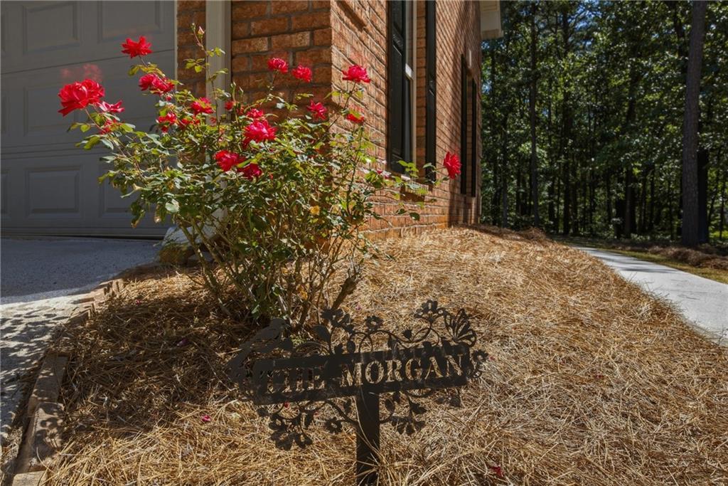 635 Marigot Way Statham, GA 30666 - Photo 4 of 46