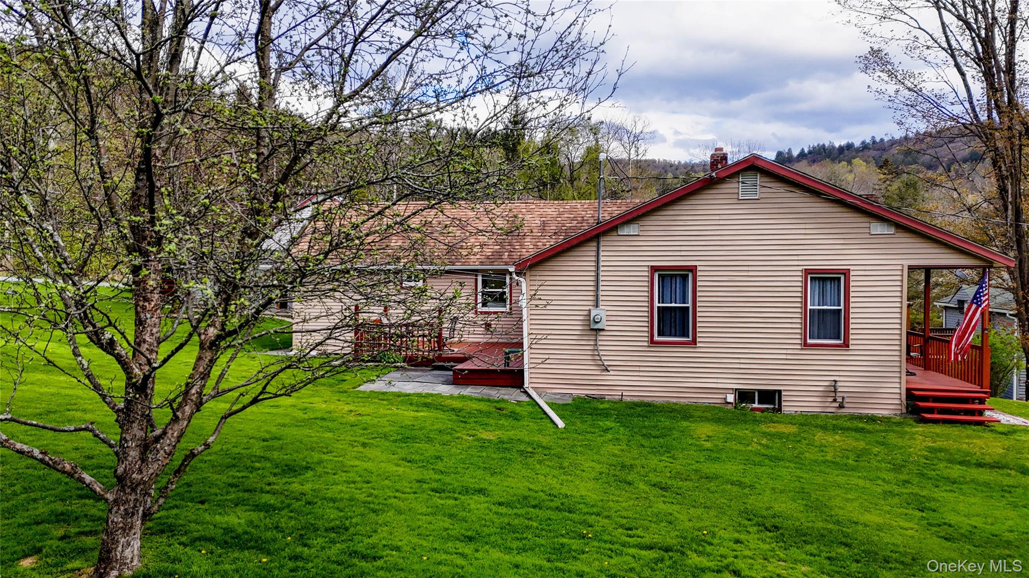 11 Hood Road Roscoe, NY 12776 - Photo 4 of 35 a front view of house with yard and green space