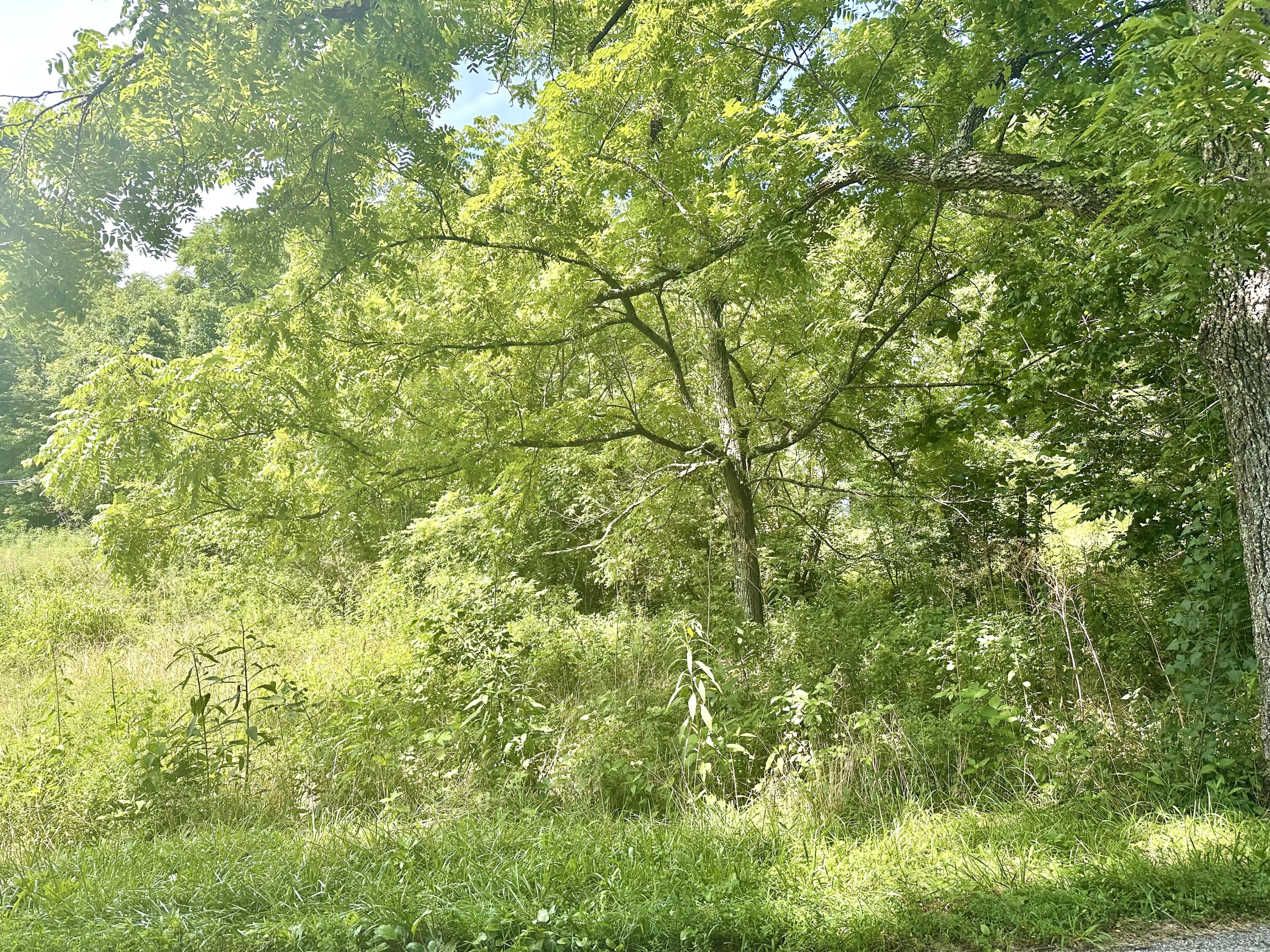 839 Saltwell Road Carlisle, KY 40311 - Photo 18 of 20 IMG_2116