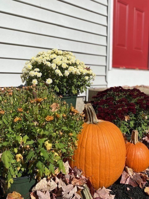 103 Ridge Road Athol, MA 01331 - Photo 31 of 33 Gallery Image 31