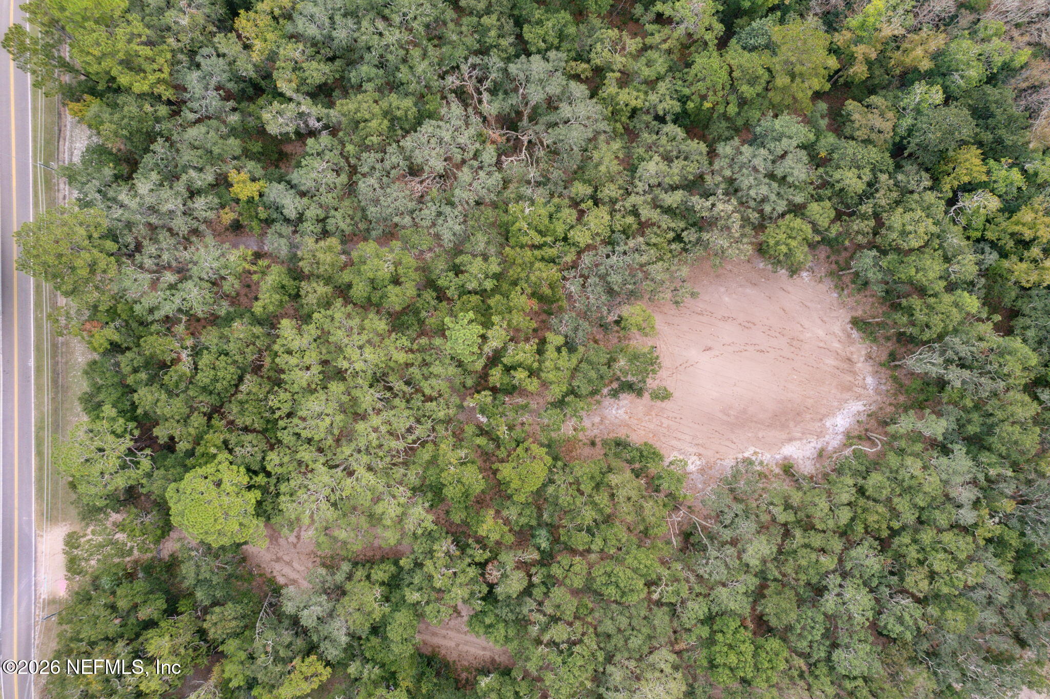 0 Blackrock Road Yulee, FL 32097 - Photo 5 of 8 a view of a forest with a tree
