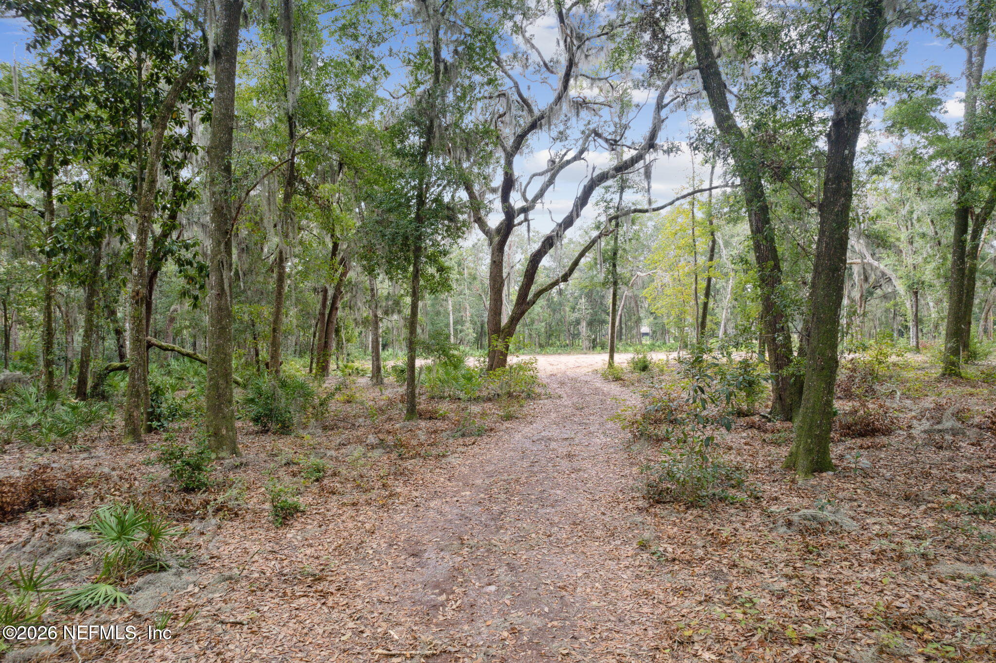 0 Blackrock Road Yulee, FL 32097 - Photo 6 of 8 a view of outdoor space and trees