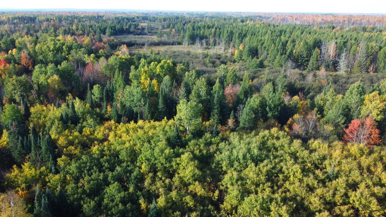 W2509 Trappers Road Brantwood, WI 54513 - Photo 35 of 62 Gallery Image 35