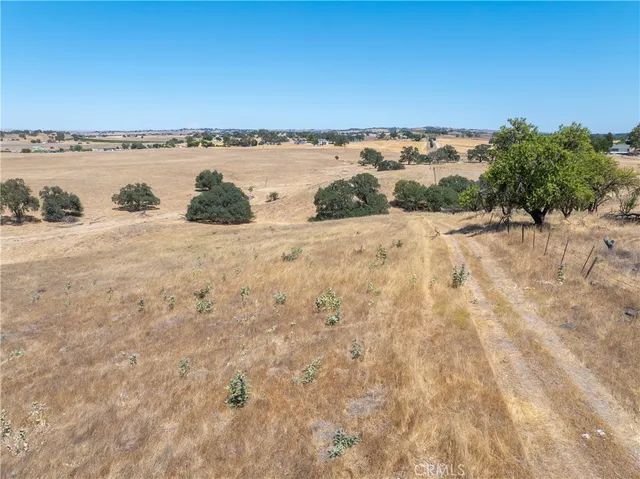 a view of a large yard with lots of trees