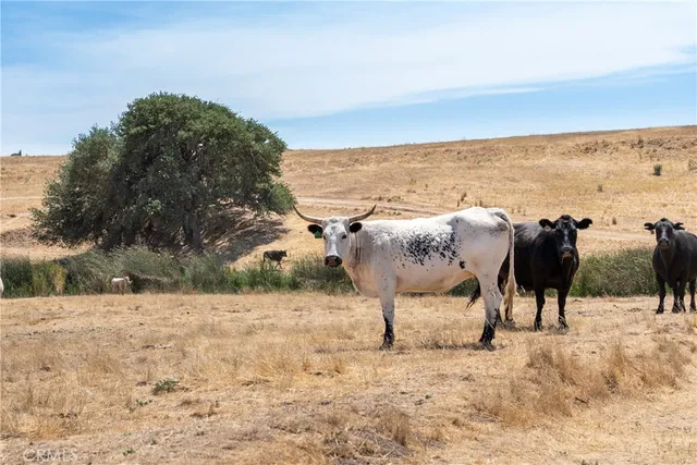 $1,275,000 | 0 Creston Road, Templeton, CA 93465