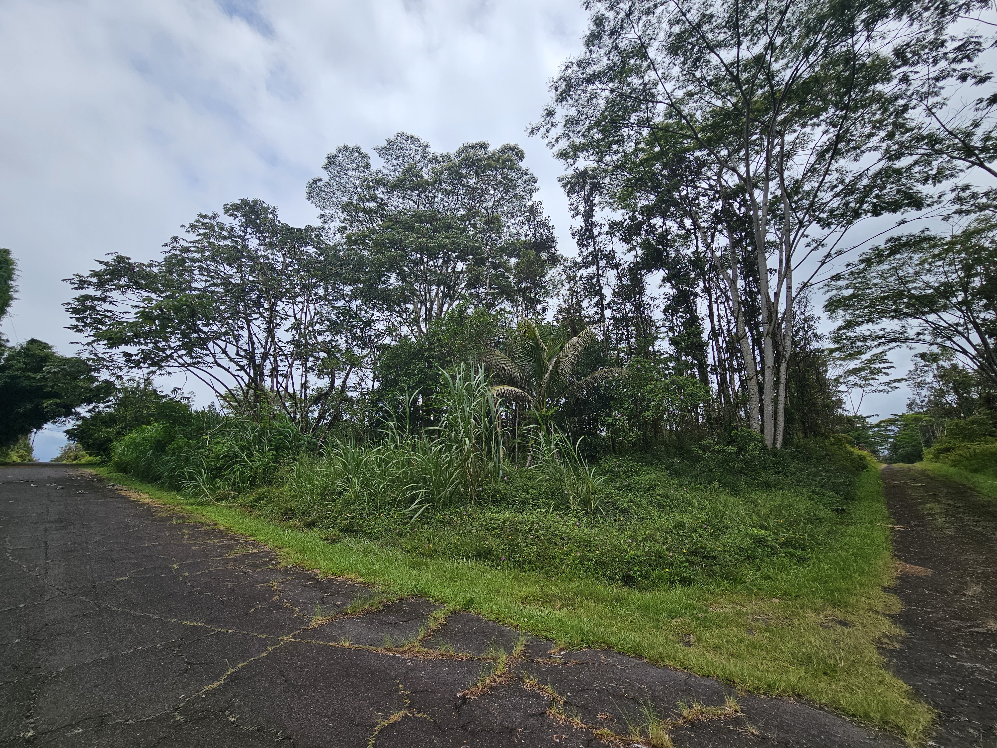247 Pahoa Road Pahoa, HI 96778 - Photo 1 of 11