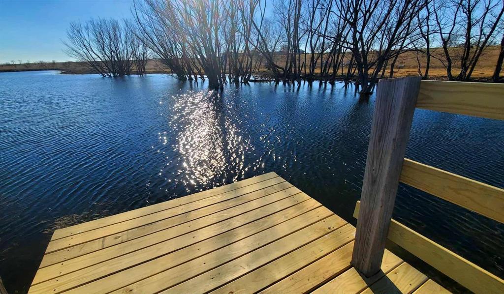 1943 Alsdorf Road Ennis, TX 75119 - Photo 37 of 38