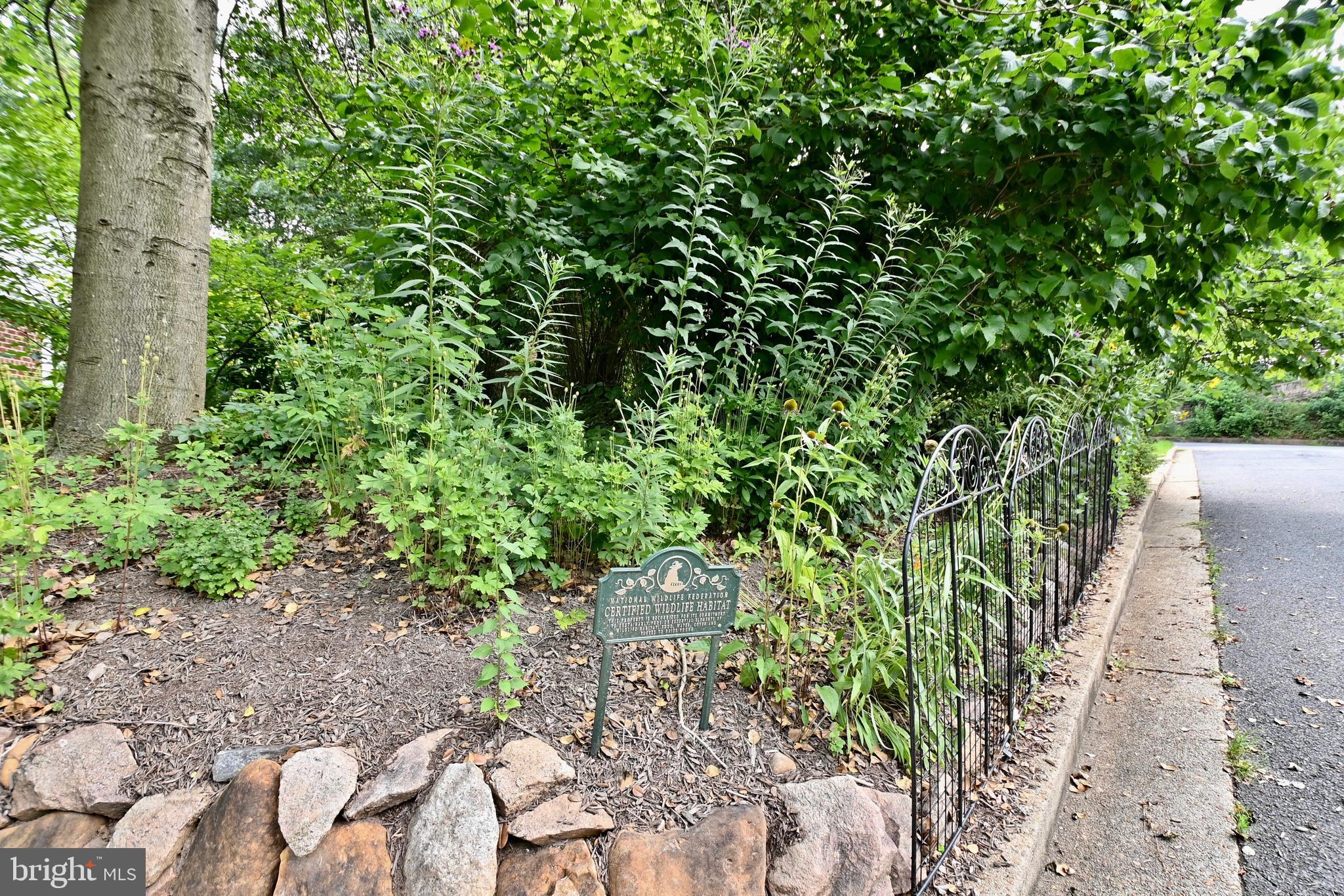 802 Ridge Place Falls Church, VA 22046 - Photo 55 of 59 Certified Backyard Habitat