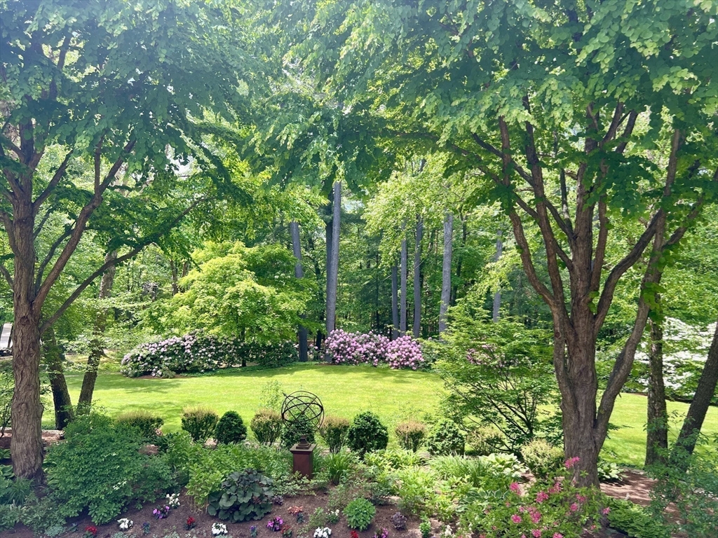 43 Oak Hill Road Harvard, MA 01451 - Photo 37 of 42 a view of a garden with plants and large trees