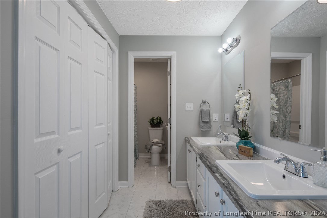 130 Rye Lane Raeford, NC 28376 - Photo 20 of 38 a bathroom with a sink and mirror with toilet