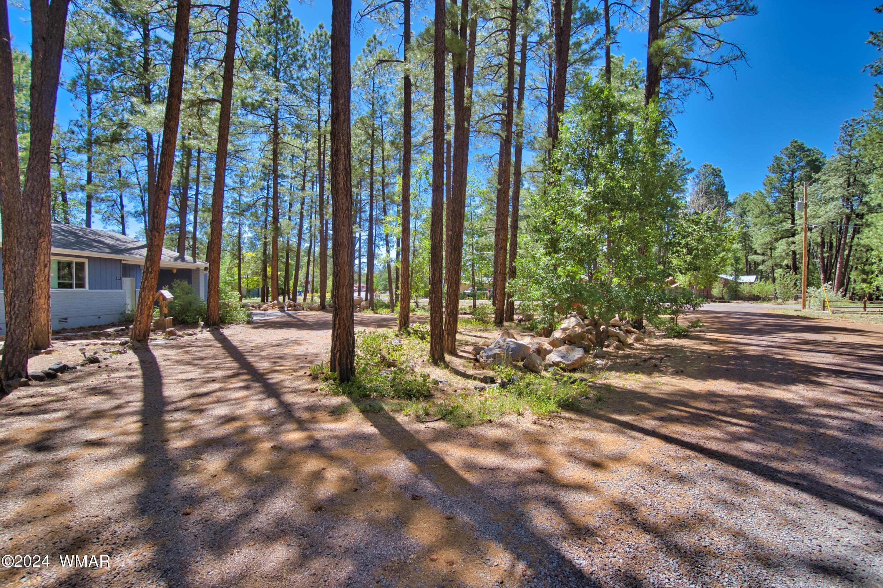 625 East Nora Place Pinetop, AZ 85935 - Photo 3 of 35 a view of a backyard with potted plants and large trees