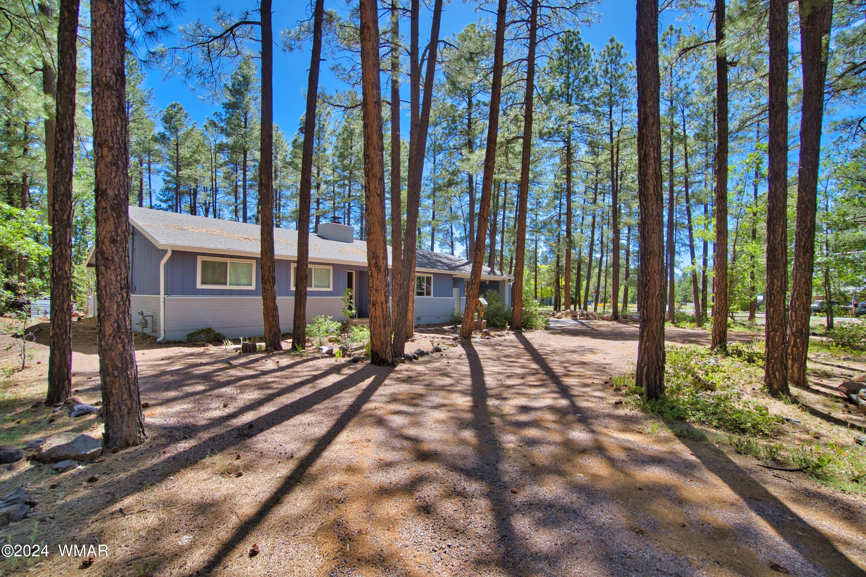 625 East Nora Place Pinetop, AZ 85935 - Photo 8 of 35 a view of a house with backyard and sitting area