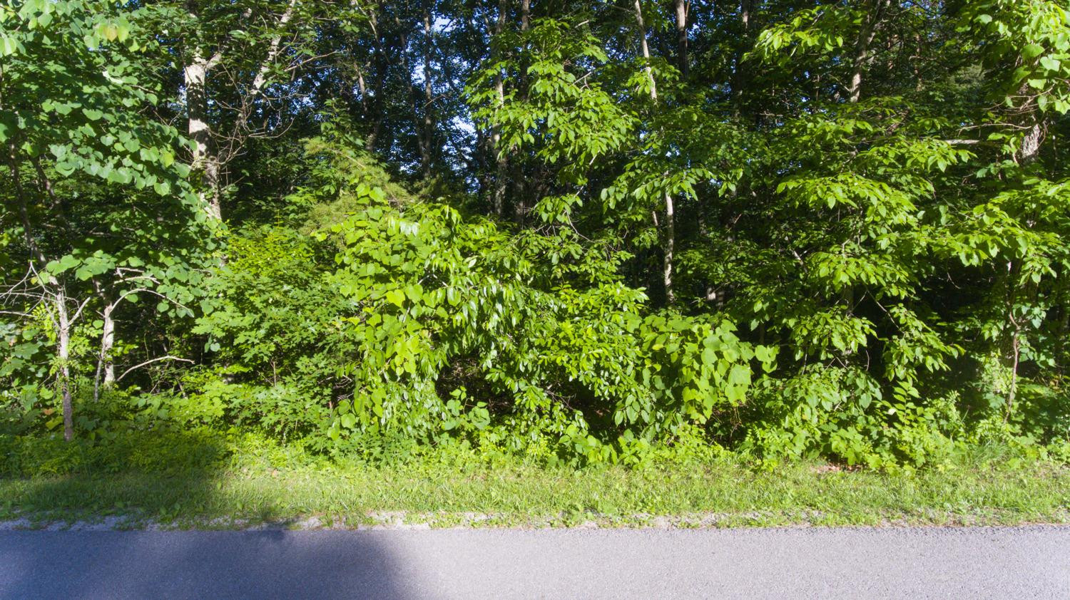 3688 Pine Ridge Road Winchester, KY 40391 - Photo 5 of 16 Photo 5