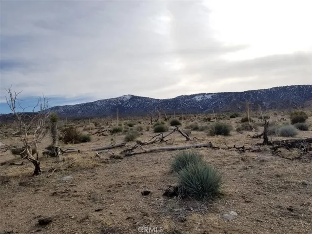 a view of a dry field