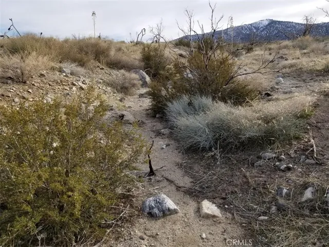 a view of a dry field