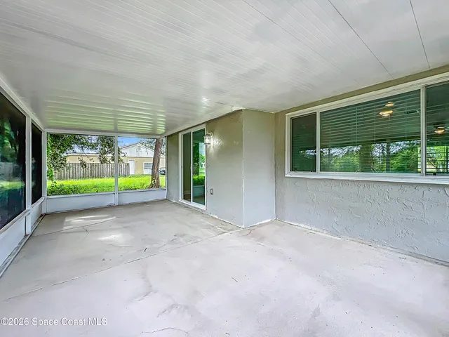 a view of a garden with plants