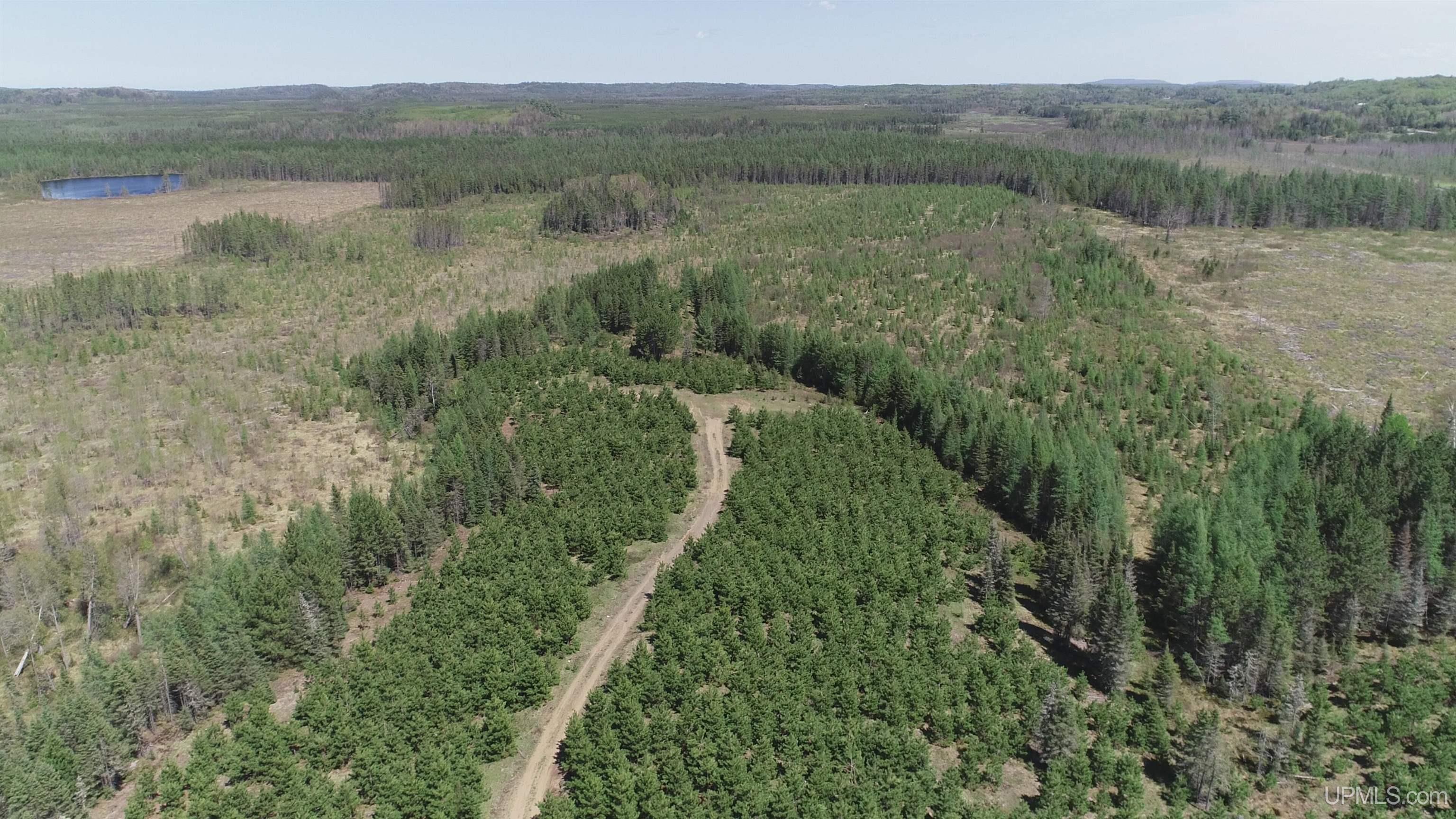 58-acres Co Rd Fn Road Champion, MI 49814 - Photo 5 of 27