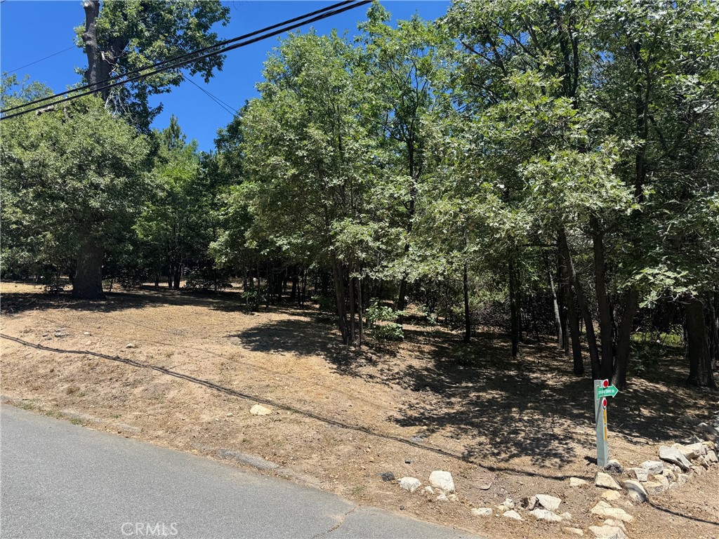 0 Lachen Road Lake Arrowhead, CA 92352 - Photo 2 of 3 a view of yard covered with trees