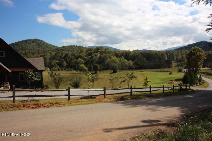 523 Rudd Hollow Road Townsend, TN 37882 - Photo 4 of 11 523 Rudd cleared 003
