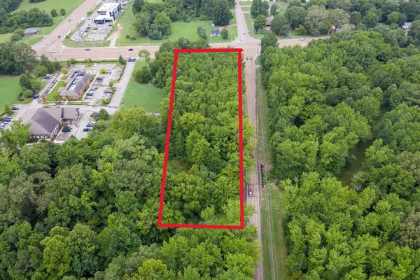 an aerial view of a house with a yard and potted plants