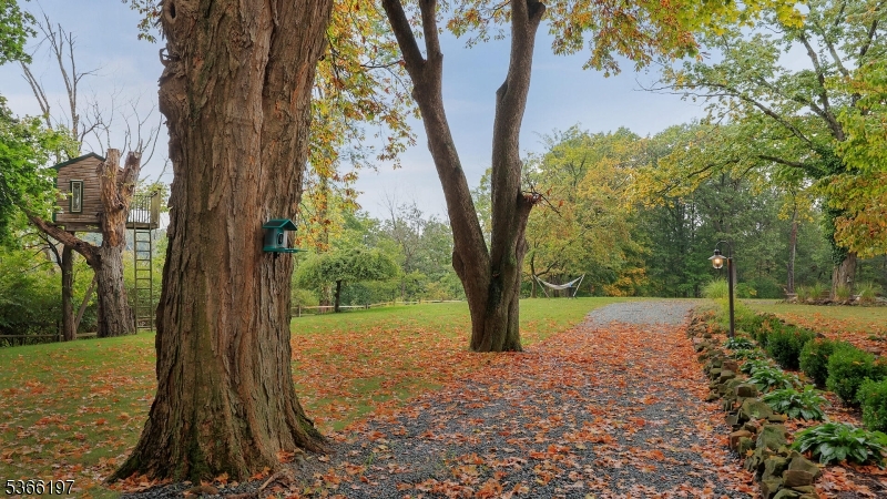 35 Woodledge Road Watchung, NJ 07069 - Photo 8 of 49