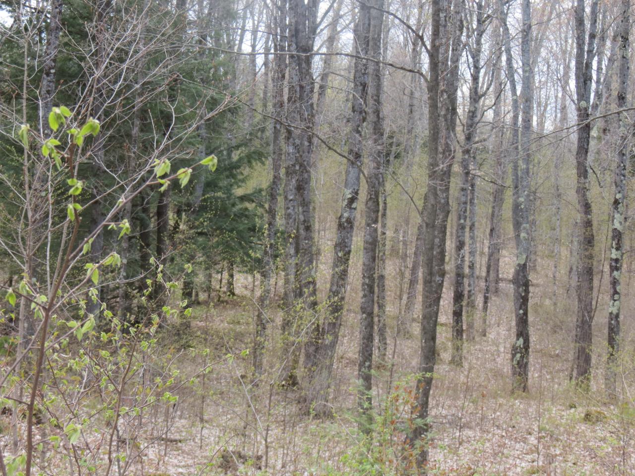 Off Lassig Road Rhinelander, WI 54501 - Photo 10 of 25 Gallery Image 10